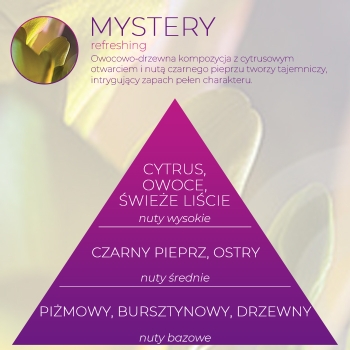 <B>MYSTERY</B> SPRAY 250 ml odświeżacz powietrza PREMIUM